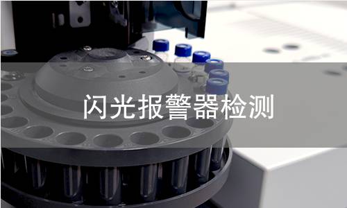 闪光报警器检测