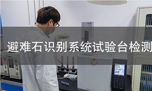 避难石识别系统试验台检测