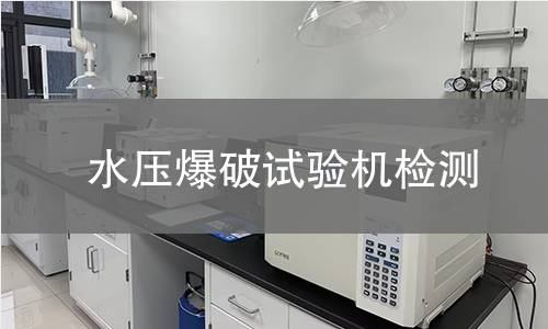水压爆破试验机检测