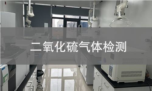 二氧化硫气体检测