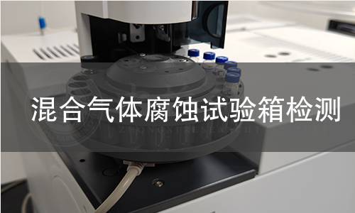 混合气体腐蚀试验箱检测