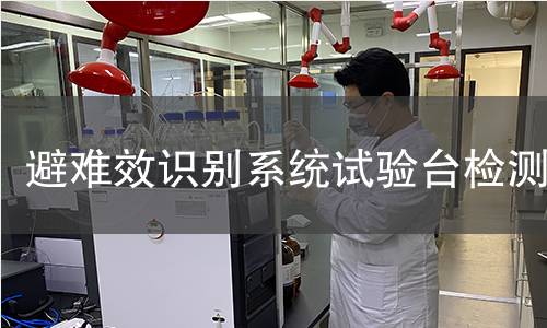 避难效识别系统试验台检测