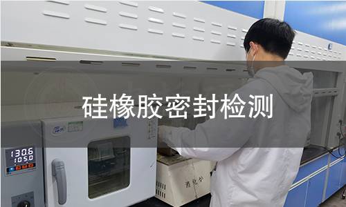 硅橡胶密封检测