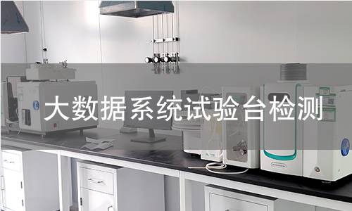大数据系统试验台检测