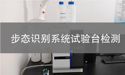 步态识别系统试验台检测
