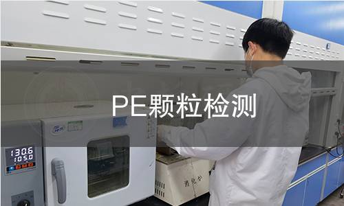 PE颗粒检测
