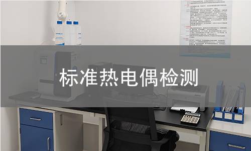 标准热电偶检测