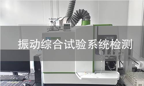 振动综合试验系统检测