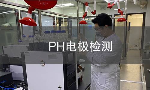 PH电极检测
