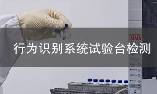行为识别系统试验台检测