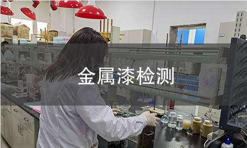 金属漆检测