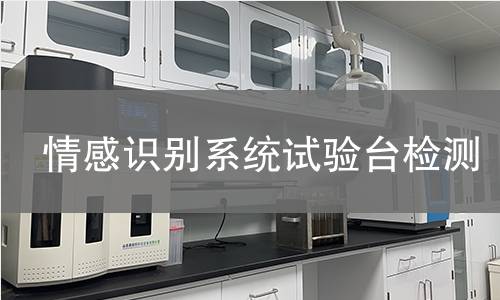 情感识别系统试验台检测