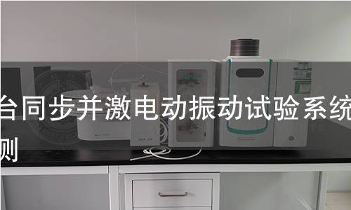 双台同步并激电动振动试验系统检测