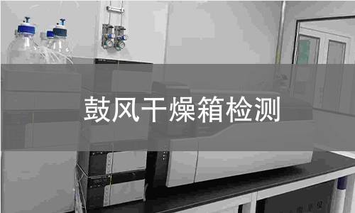 鼓风干燥箱检测