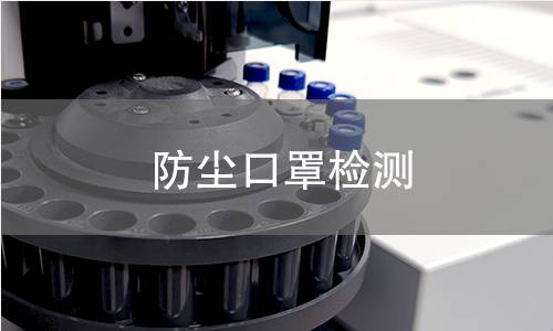防尘口罩检测