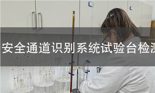 安全通道识别系统试验台检测