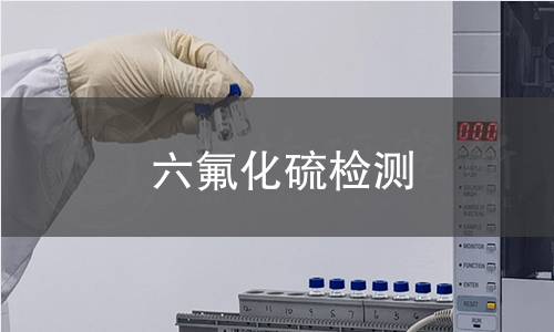 六氟化硫检测