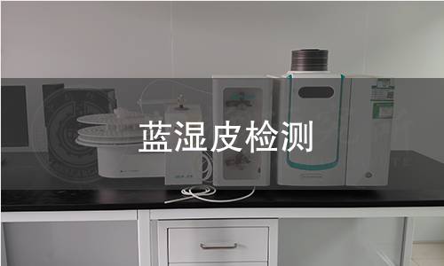 蓝湿皮检测