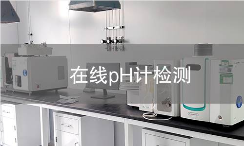在线pH计检测