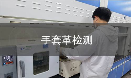 手套革检测