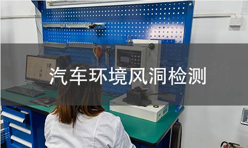 汽车环境风洞检测