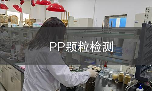PP颗粒检测