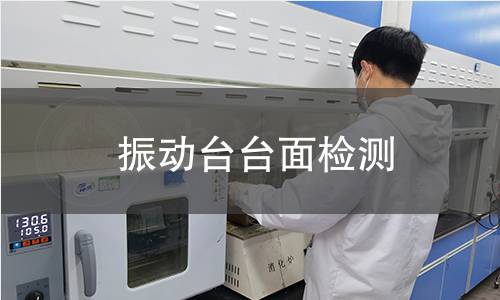 振动台台面检测