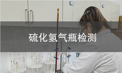 硫化氢气瓶检测
