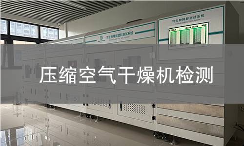 压缩空气干燥机检测