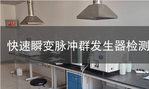 快速瞬变脉冲群发生器检测