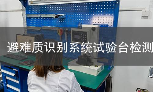 避难质识别系统试验台检测