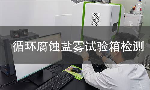 循环腐蚀盐雾试验箱检测