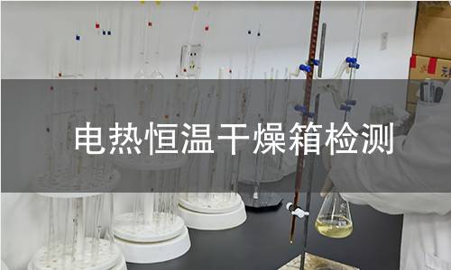 电热恒温干燥箱检测