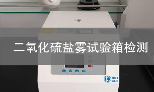 二氧化硫盐雾试验箱检测