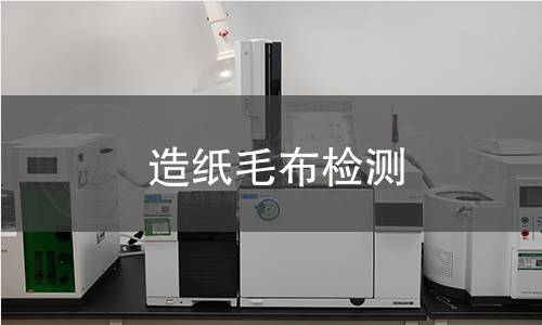 造纸毛布检测