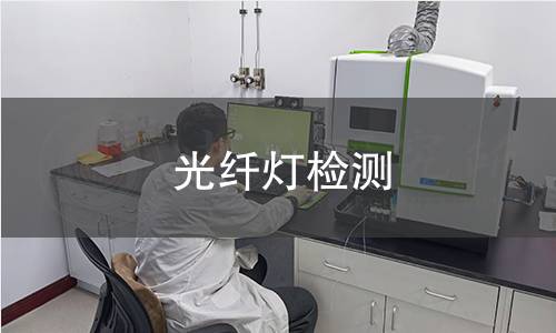 光纤灯检测