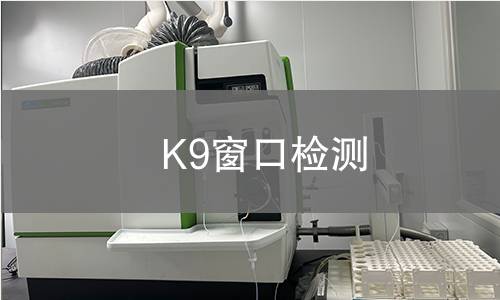 K9窗口检测