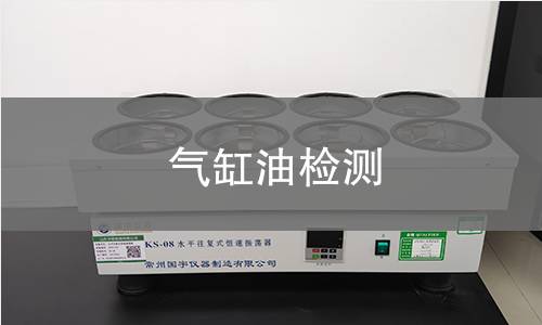气缸油检测