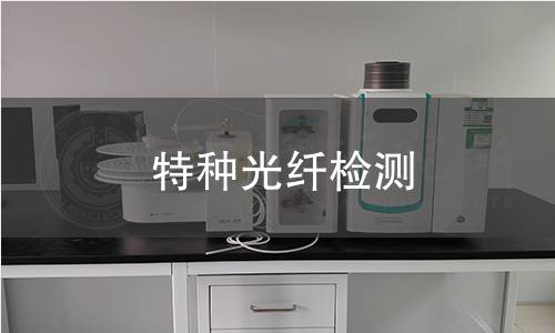 特种光纤检测