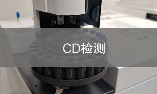 CD检测