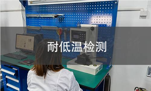 耐低温检测