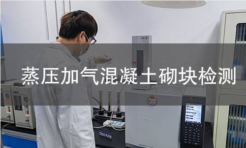 蒸压加气混凝土砌块检测