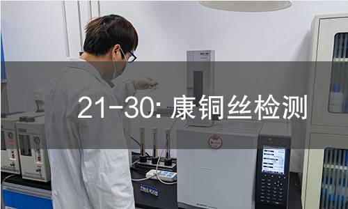 21-30: 康铜丝检测