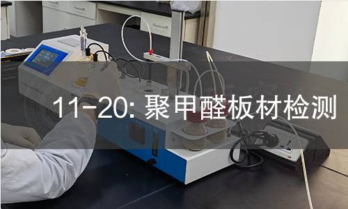 11-20: 聚甲醛板材检测