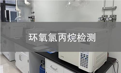 环氧氯丙烷检测