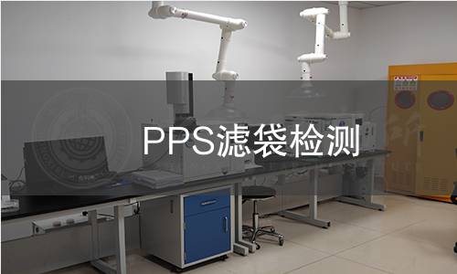 PPS滤袋检测
